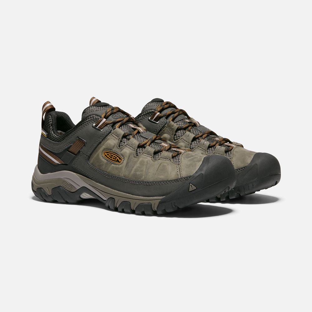 Chaussure de Randonnée Keen Homme Vert Olive/Noir | Targhee Iii Waterproof | ZJXGI-2504